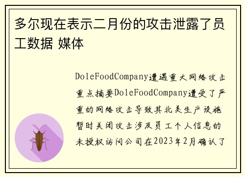 多尔现在表示二月份的攻击泄露了员工数据 媒体